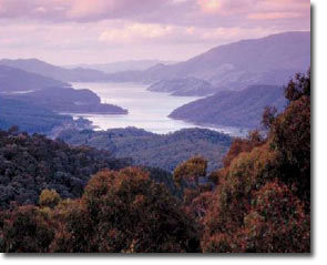 Tumut