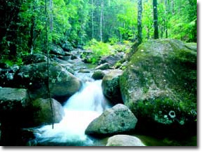 Mackay National Parks