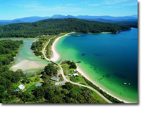 Cockle Creek
