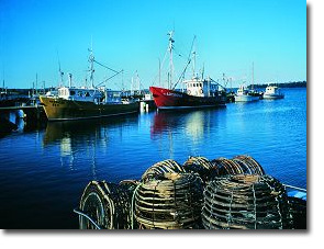 Georges Bay - St Helens