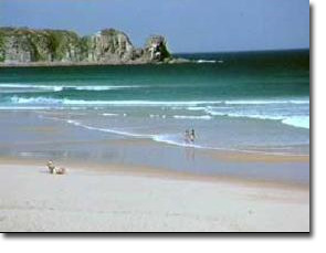 Phillip Island